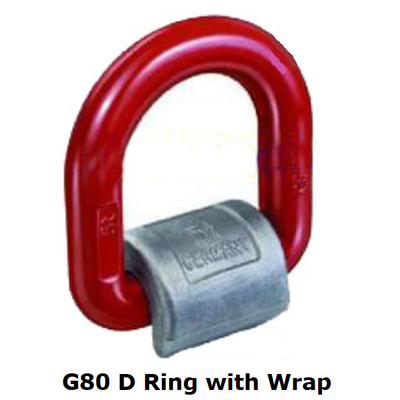Thép carbon rèn D Ring Power Coated G80 Weld in D Rings With Wrap